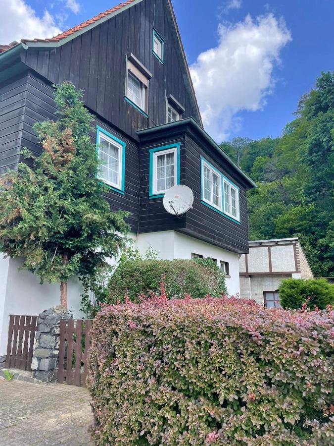 Sonniges Apartment Altenbrak Exterior foto